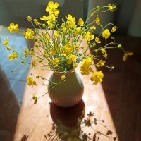 Букетик с тенью. :: Лилия *