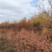 Осень :: Anna Ivanova