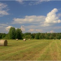 Сенокосная пора :: Валентин Котляров