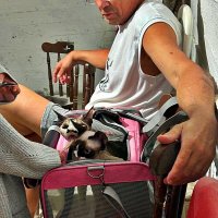 ФОТО   ИЗ   УБЕЖИЩА (2) :: Анатолий Малобродский