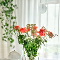 Июльский букет :: Наталья Комнатная