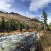 Осень... :: olegdanilhenko Олег Данильченко