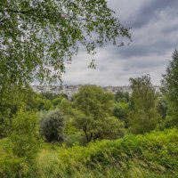 Хмурый июль... :: Владимир Жданов