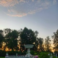 Гортензия :: Сапсан 