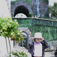 Детки. :: Наталья Вязигина