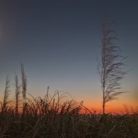 Закат :: Pippa 