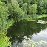 Парк усадьбы Покровское-Стрешнево :: Лидия Бусурина