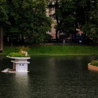 Новая жилплощадь лебединой семьи на Патриарших прудах. :: Татьяна Помогалова