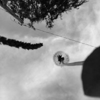 *** :: Шу Юншен