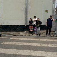 Дорожная серия №7 :: Сергей Золотавин