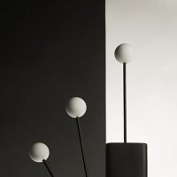 Чёрное и белое 2 :: Вениамин Скородумов