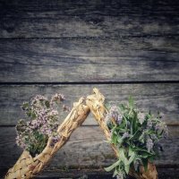 Балетные лапти. :: Галина Левина