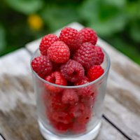 малинка :: краснов юрий малинка :: краснов юрий