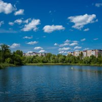 Природа Мещерского озера в Нижнем Новгороде :: Александр Синдерёв