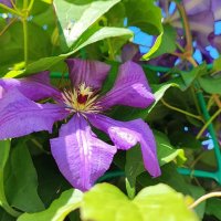 ,,, :: Сергей Тимоновский