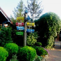 Отдых на донской земле (1) :: Тамара (st.tamara)