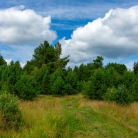 Пейзаж :: Владимир VS Пейзаж :: Владимир VS