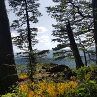 ЛАГОНАКИ :: Tata Wolf