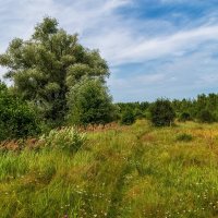 Родные просторы 2 :: Андрей Дворников