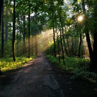 В парке после дождя :: Андрей Лукьянов