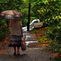 Под дождём :: Юрий Гайворонскiий Под дождём :: Юрий Гайворонскiий