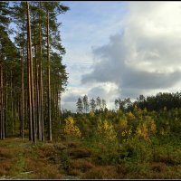 Мои места  тихой охоты :: Aleksandr Gal