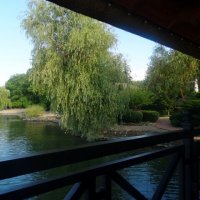 Отдых на донской земле (10)... :: Тамара (st.tamara)