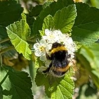 *** :: Хэлен *** *** :: Хэлен ***