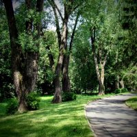 Траурная аллея в усадьбе Горки :: Анатолий Колосов