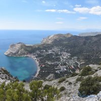 Природа Крыма :: Amazing Cosmea Природа Крыма :: Amazing Cosmea