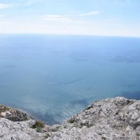 Природа Крыма :: Amazing Cosmea