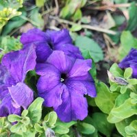 ,,, :: Сергей Тимоновский ,,, :: Сергей Тимоновский