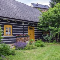 ** :: Александр Липовецкий