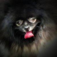 Жарко... :: Владимир Шошин Жарко... :: Владимир Шошин