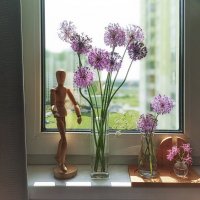 Случайный натюрморт на окне. :: Лилия *