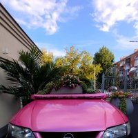 Прикольный столик в ресторане :: светлана льдокова