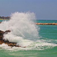 Хайфа 2025 :: Владислав Воровский 