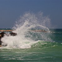 Хайфа 2025 :: Владислав Воровский 