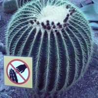 ЯДОВИТЫЙ ! :: Валерий Кокорев