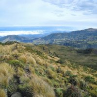 Кусочек Колумбии. :: unix (Илья Утропов)