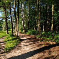 Потому, что лето :: Андрей Лукьянов