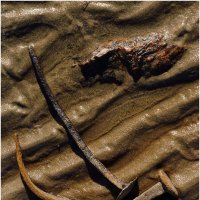 Старые гвозди_Panasonic Lumix DMC-G5_14-140mm :: Станислав Лебединский