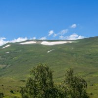 Лаго-Наки июль 2024 :: Игорь Сикорский Лаго-Наки июль 2024 :: Игорь Сикорский