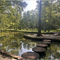 Место  отдыха птиц. :: Валерия Комова