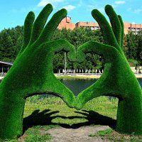 *** :: Александр 