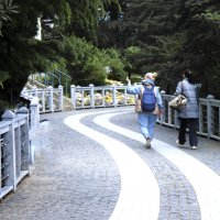 Путь к морю :: Валентин Семчишин