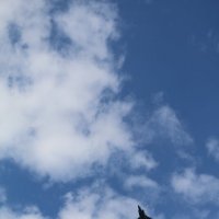 Парад в мирном небе :: Ольга Парад в мирном небе :: Ольга