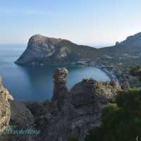 Природа Крыма :: Amazing Cosmea