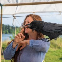 Кари Ликонски и домашний ворон Карстен. :: Виктор Евстратов