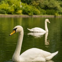 *** :: Хэлен ***